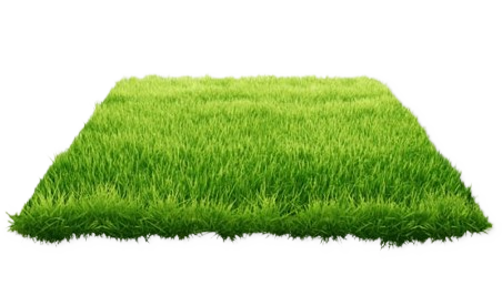 gazonproplus
